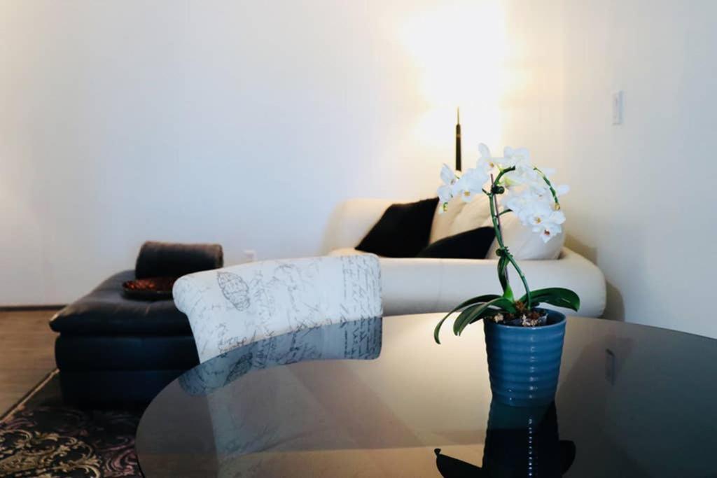 Sun Dog Manor Apartment Maple Creek Ngoại thất bức ảnh